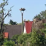 Storchennest Vipperow * Ludorf
