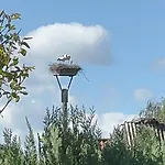 Storchennest Vipperow Ludorf