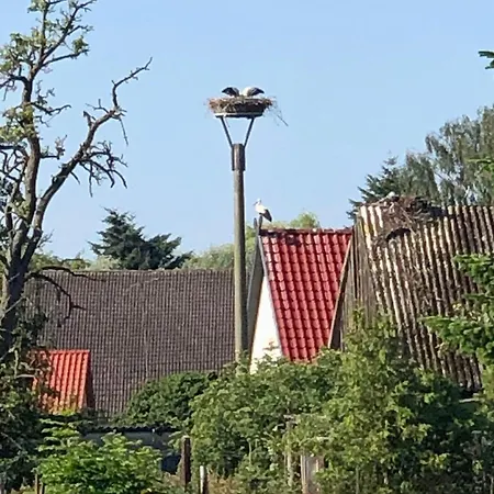 Storchennest Vipperow * Ludorf