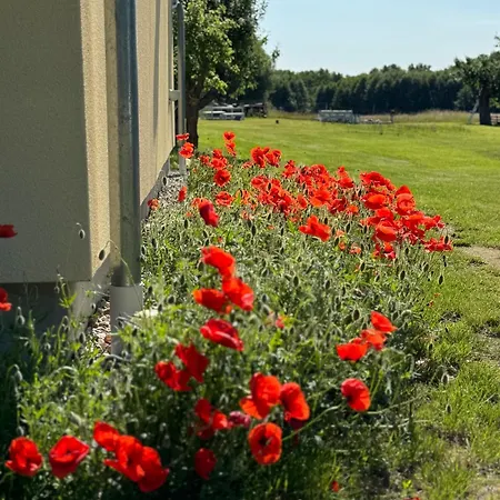 Apartmán Storchennest Vipperow