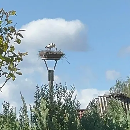 Storchennest Vipperow Ludorf