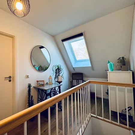 Storchennest Vipperow Ludorf